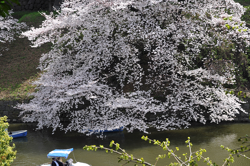 image0197