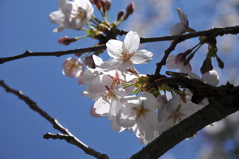 image0130