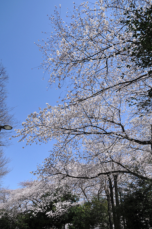 image0131