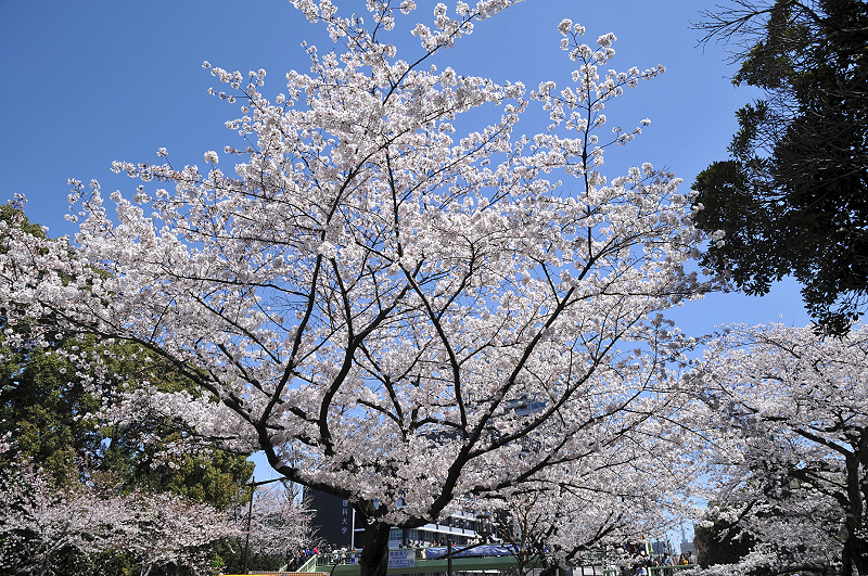 image0150