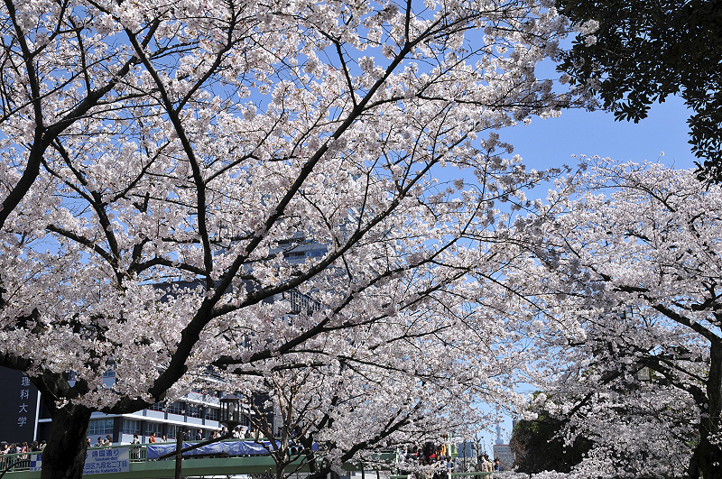 image0151