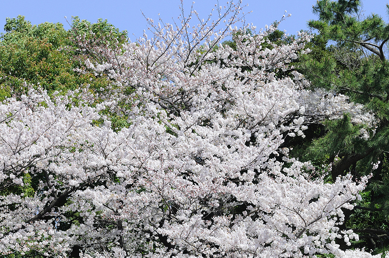 image0150