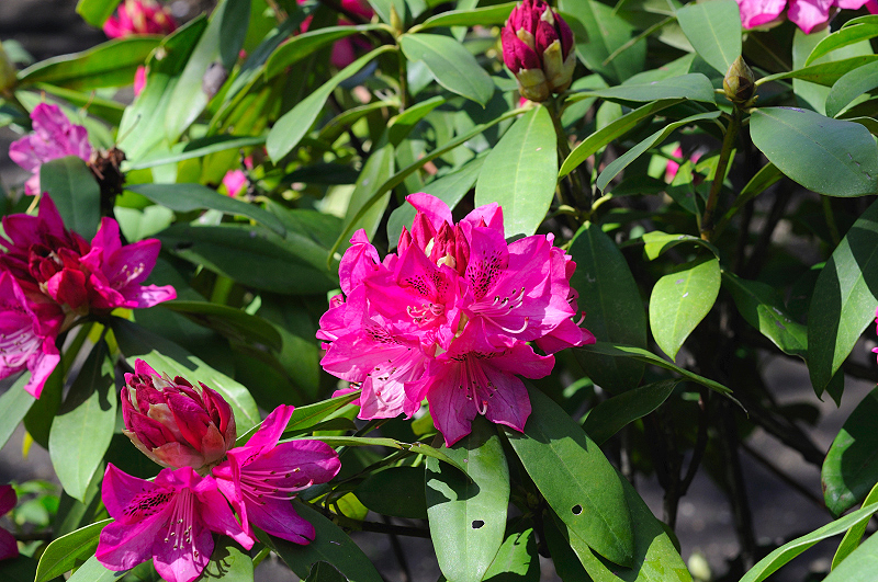 image0287