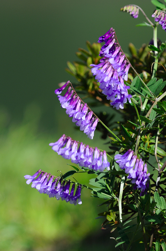 image0362
