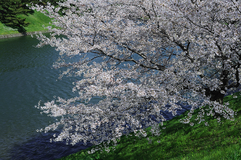 image0368
