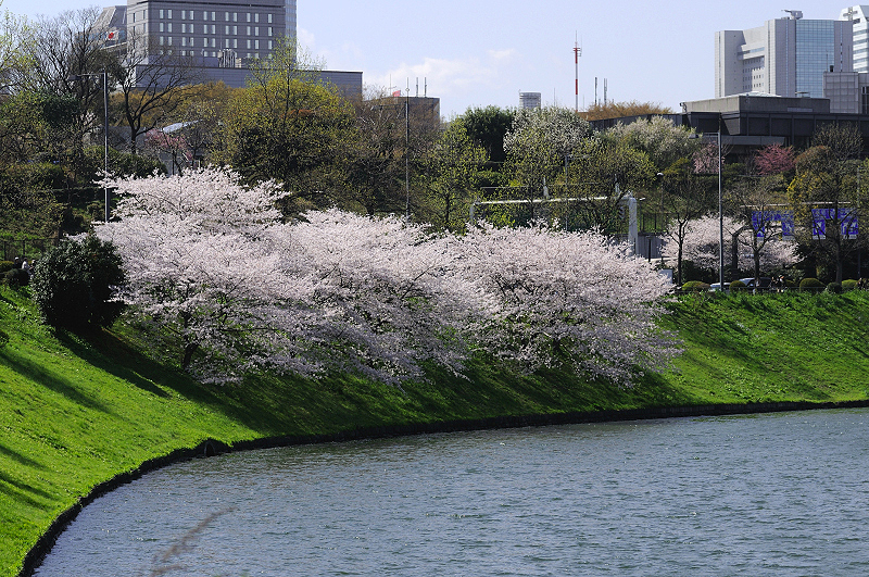 image0387