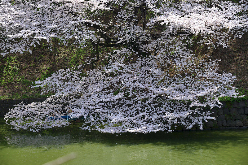 image0115