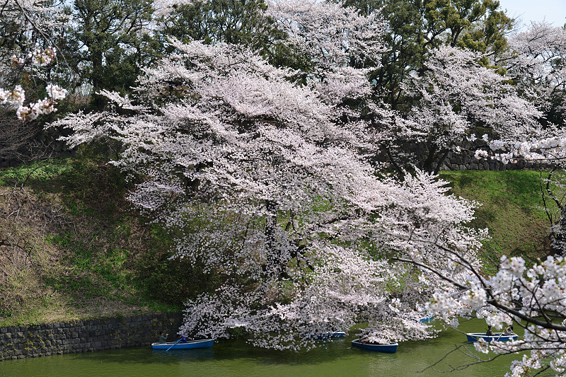 image0145