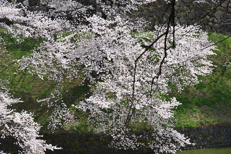 image0155
