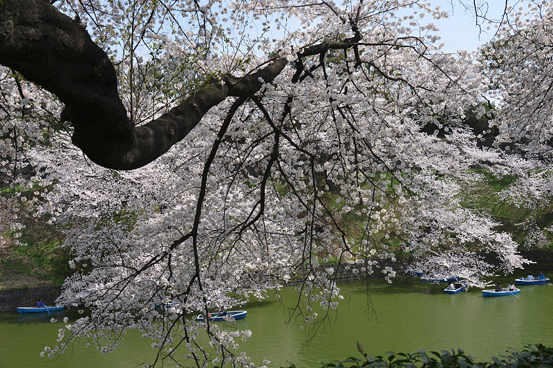 image0156