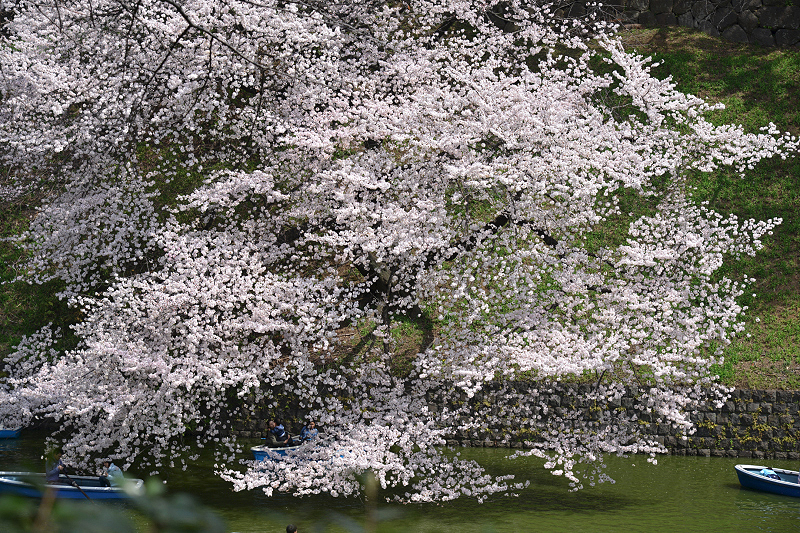 image0171