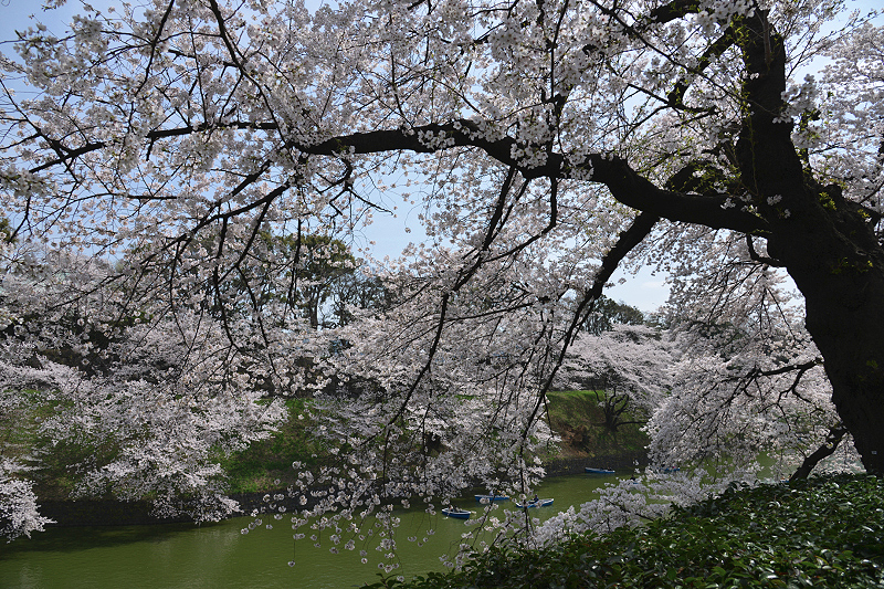 image0175