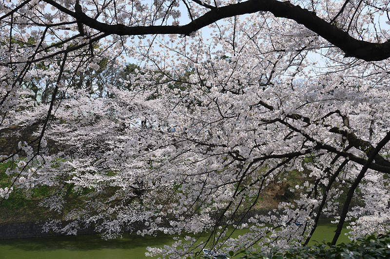 image0191