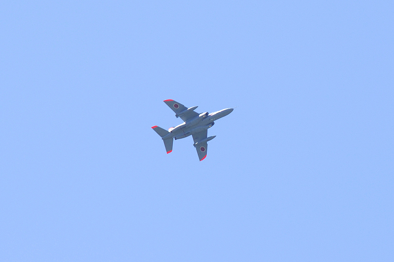 image0186