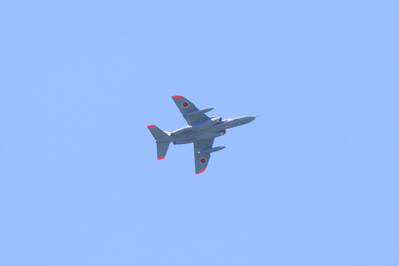 image0187