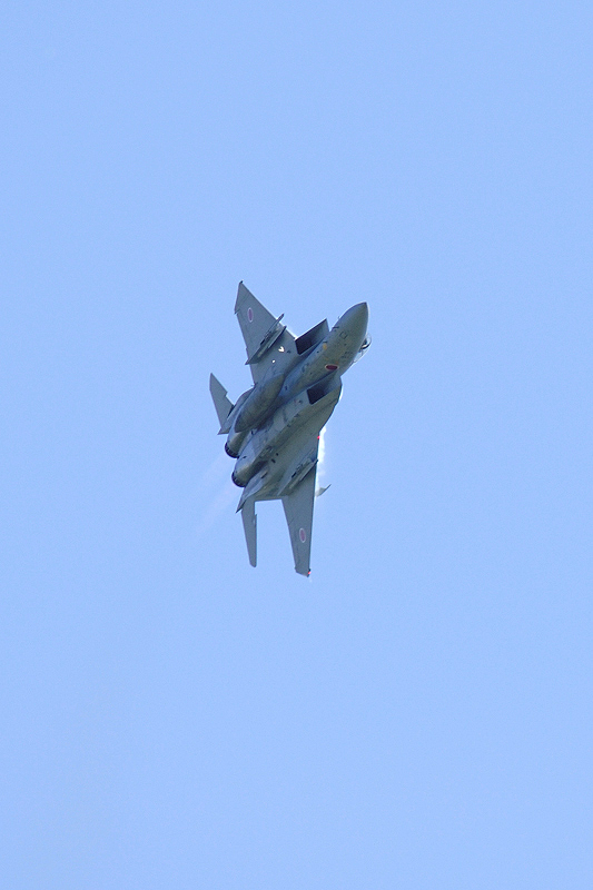 image0291