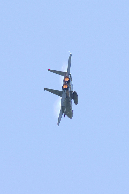 image0295