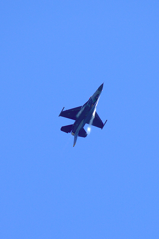 image0350
