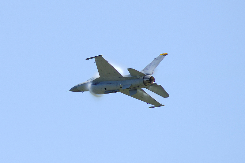 image0354
