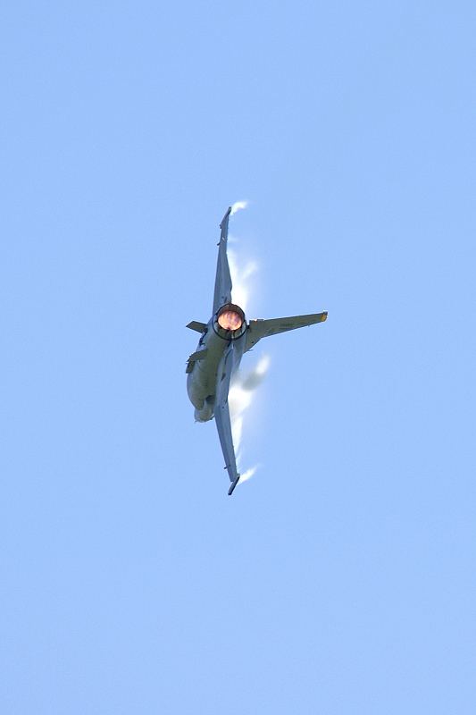 image0366