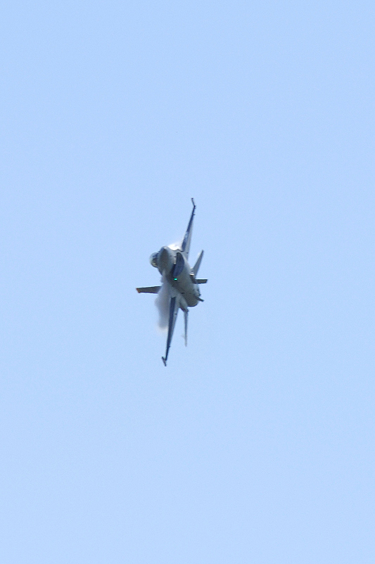 image0369