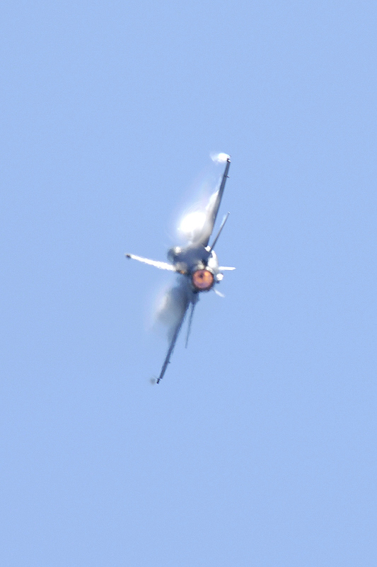 image0388