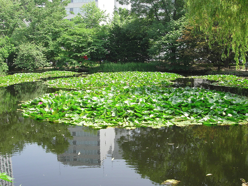 image0742