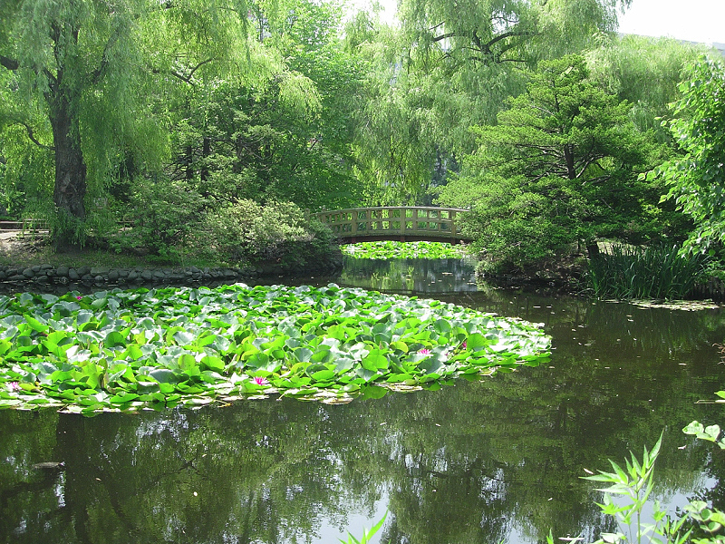 image0743
