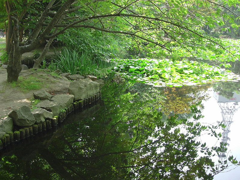 image0744