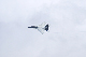 image0154
