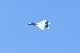 image0156