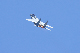 image0240