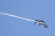 image0248