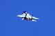 image0277
