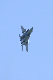 image0291