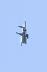 image0295