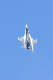 image0345