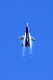 image0346