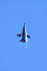 image0347