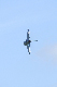 image0355