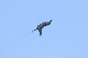 image0356