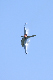 image0366