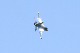 image0367