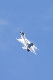 image0379