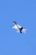 image0395