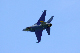 image0419