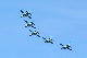 image0591