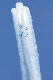 image0613
