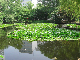 image0742