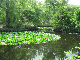 image0743